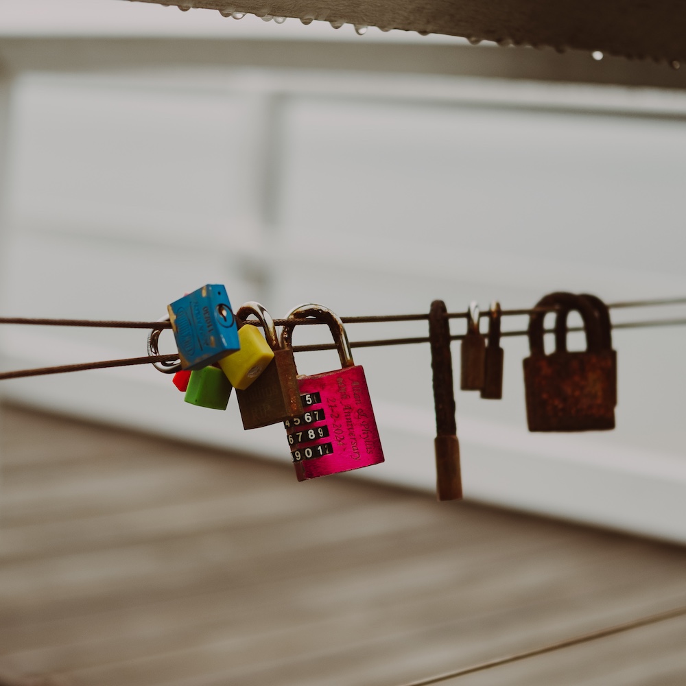 A close up of locks attached to a wire fence on a foggy morning.