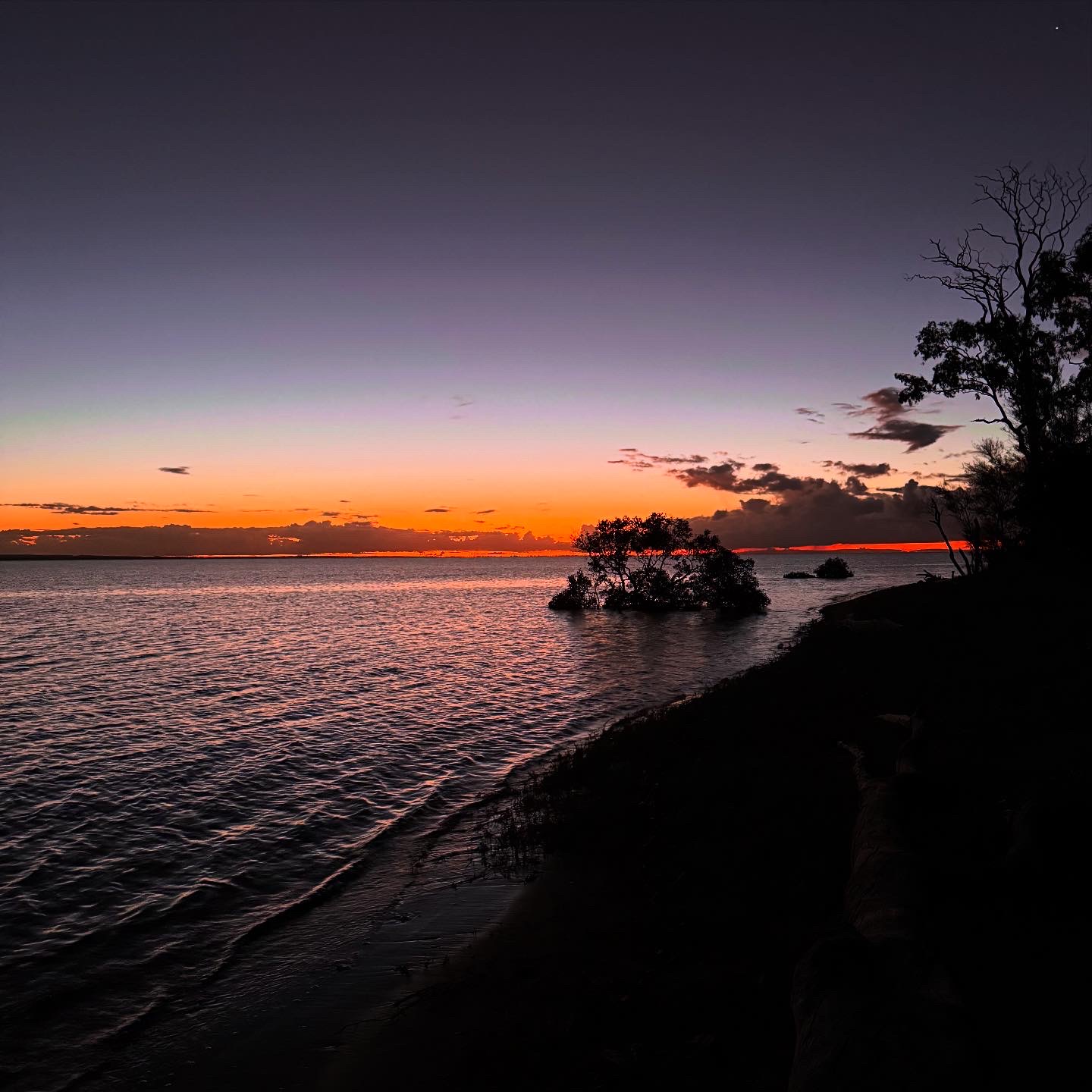 Featured image of post What I am ... life updates